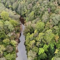 67-044-sipsey-river-overlook images 3
