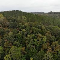 67-044-sipsey-river-overlook images 4