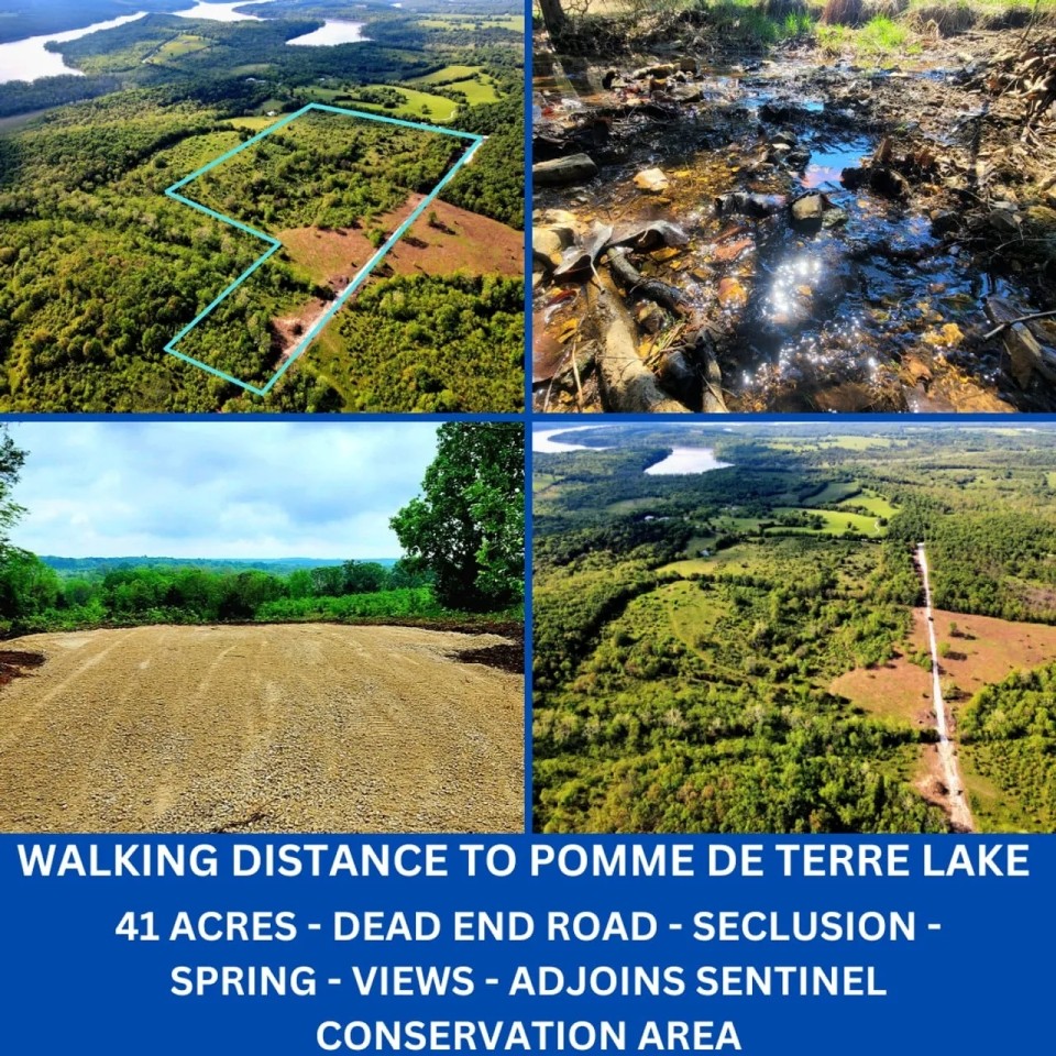 Pomme De Terre Lake Acreage Hunting Land for Sale HuntingLocator