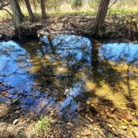 Pomme De Terre Lake Acreage images 2