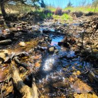 Pomme De Terre Lake Acreage images 3