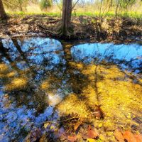 Pomme De Terre Lake Acreage images 4