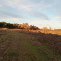 76 Acres in Tallahatchie County in Grenada MS