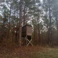 76 Acres in Tallahatchie County in Grenada MS images 2