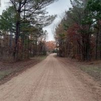 76 Acres in Tallahatchie County in Grenada MS images 3