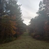 76 Acres in Tallahatchie County in Grenada MS images 5