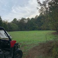 Big Buck Dreaming images 3