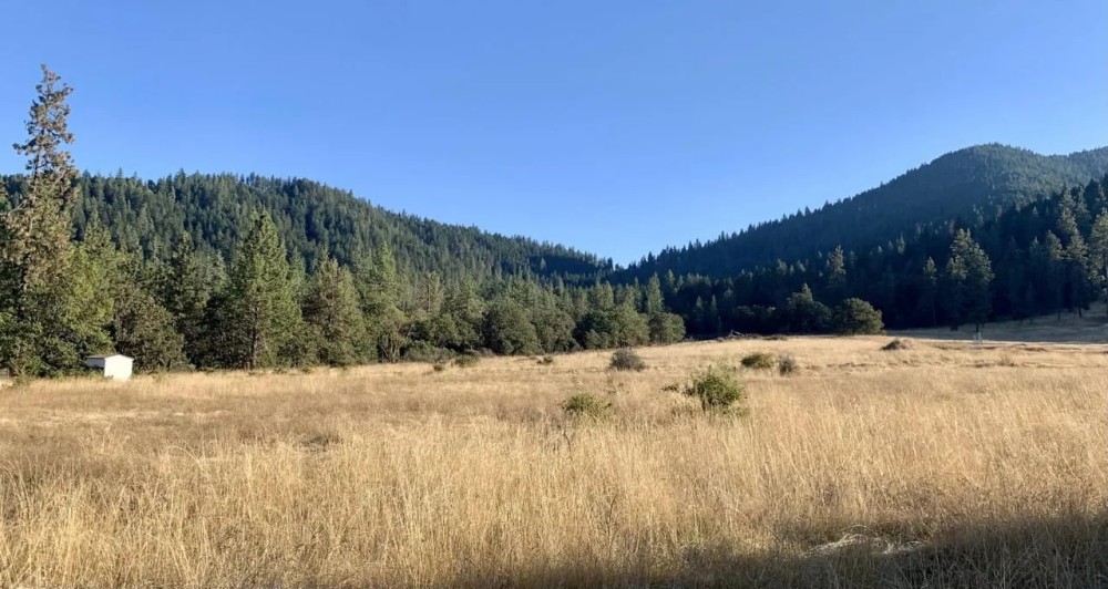 10680 Williams Highway featured image