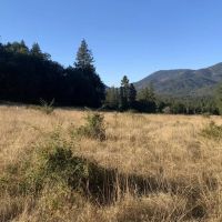 10680 Williams Highway images 2