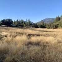 10680 Williams Highway images 3