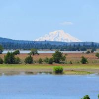 Dillon Lake Ranch