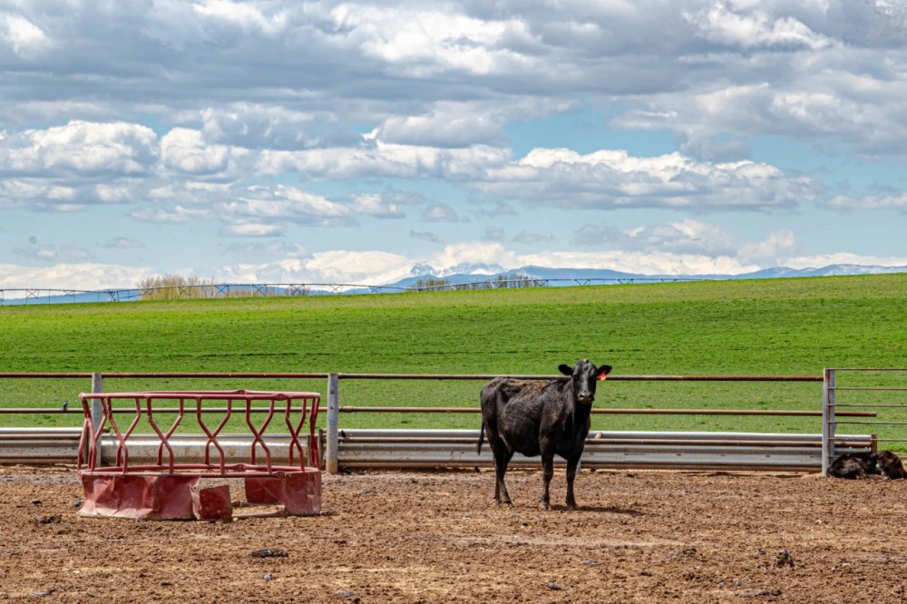 Bull Ridge Farms and Water featured image