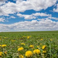 Bull Ridge Farms and Water images 3