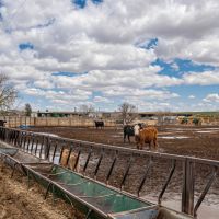 Bull Ridge Farms and Water images 4