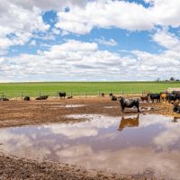 Bull Ridge Farms and Water images 5