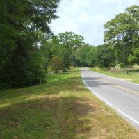 90 - Acres Natchez MS. - Adams Co. Potential Cattle Horse Hay Farm with Residence