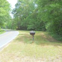 90 - Acres Natchez MS. - Adams Co. Potential Cattle Horse Hay Farm with Residence images 2