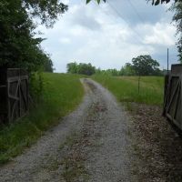90 - Acres Natchez MS. - Adams Co. Potential Cattle Horse Hay Farm with Residence images 3