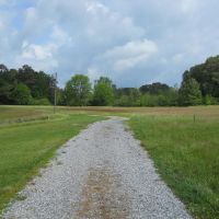 90 - Acres Natchez MS. - Adams Co. Potential Cattle Horse Hay Farm with Residence images 4