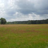 90 - Acres Natchez MS. - Adams Co. Potential Cattle Horse Hay Farm with Residence images 5