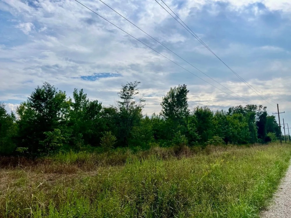 50 - acres Turn Key Hunting Tract in Tensas Parish with CRP Income featured image