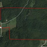 227 Acres with Home for Sale W Live Water adj. National Forest Lands in Butler County MO images 2