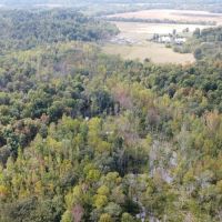 227 Acres with Home for Sale W Live Water adj. National Forest Lands in Butler County MO images 3