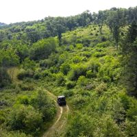 Waushara County 367 Timber Hunting Tract images 2