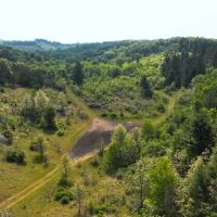 Waushara County 367 Timber Hunting Tract images 3