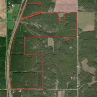 Waushara County 367 Timber Hunting Tract images 4
