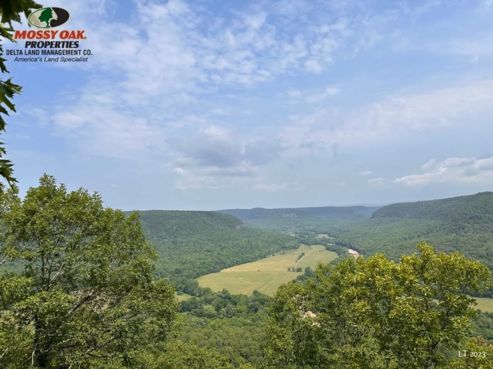 1210 - Acres on Middle Fork of the Little Red River featured image