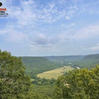 1210 - Acres on Middle Fork of the Little Red River