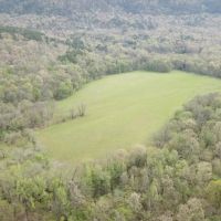 1210 - Acres on Middle Fork of the Little Red River images 4