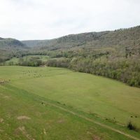1210 - Acres on Middle Fork of the Little Red River images 5