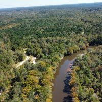 Big Ocmulgee River Deer and Duck Paradise