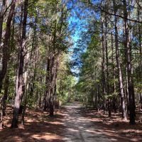 Big Ocmulgee River Deer and Duck Paradise images 4