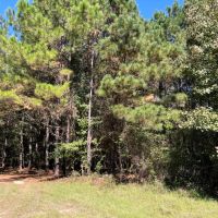 Big Ocmulgee River Deer and Duck Paradise images 5