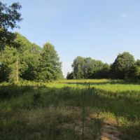 ROLLING HILL RANCHES DEVELOPMENT PHASE 2 Choctaw County OK LOT 5 31.28 AC