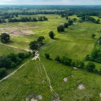 316 Acre Cattle Ranch Red River Co TX images 4