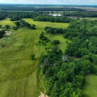 316 Acre Cattle Ranch Red River Co TX images 5