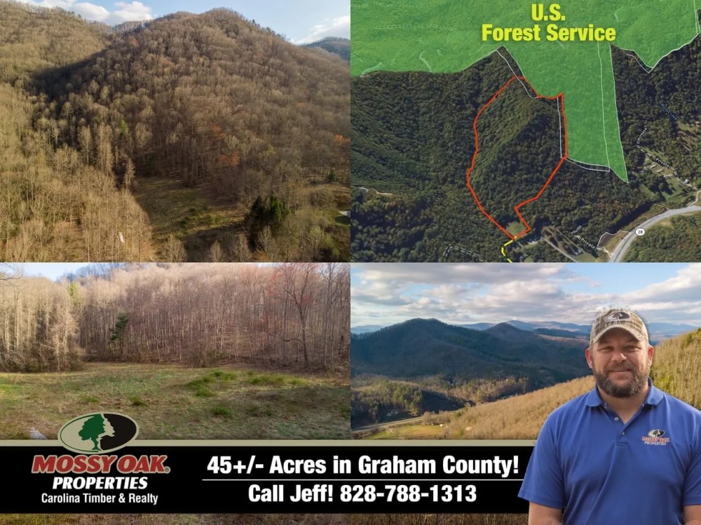 45 - Acres Graham Co. Mountains Bordering Forest Service Land featured image