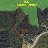 45 - Acres Graham Co. Mountains Bordering Forest Service Land images 3