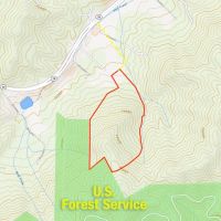 45 - Acres Graham Co. Mountains Bordering Forest Service Land images 4