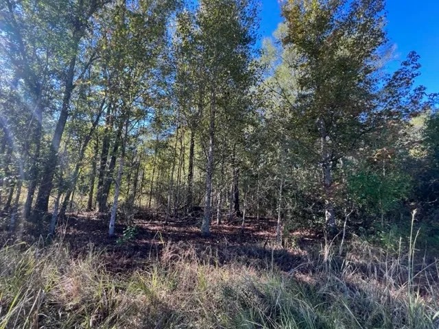 9.37 acres - of towering Hardwoods and Pines Salem School district featured image