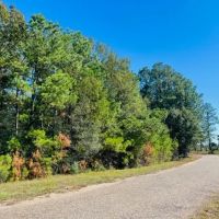 9.37 acres - of towering Hardwoods and Pines Salem School district images 2
