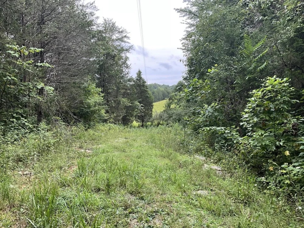 Blue Creek Estates Tract 3 featured image