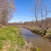 176 acres Multiuse Land for Sale in Person County NC images 4