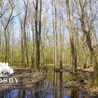 Amerson Farm images 2