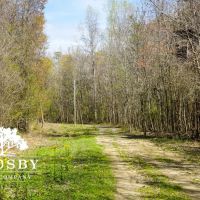 Amerson Farm images 3