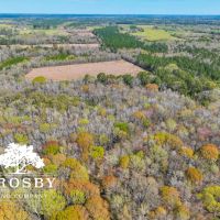 Amerson Farm images 4